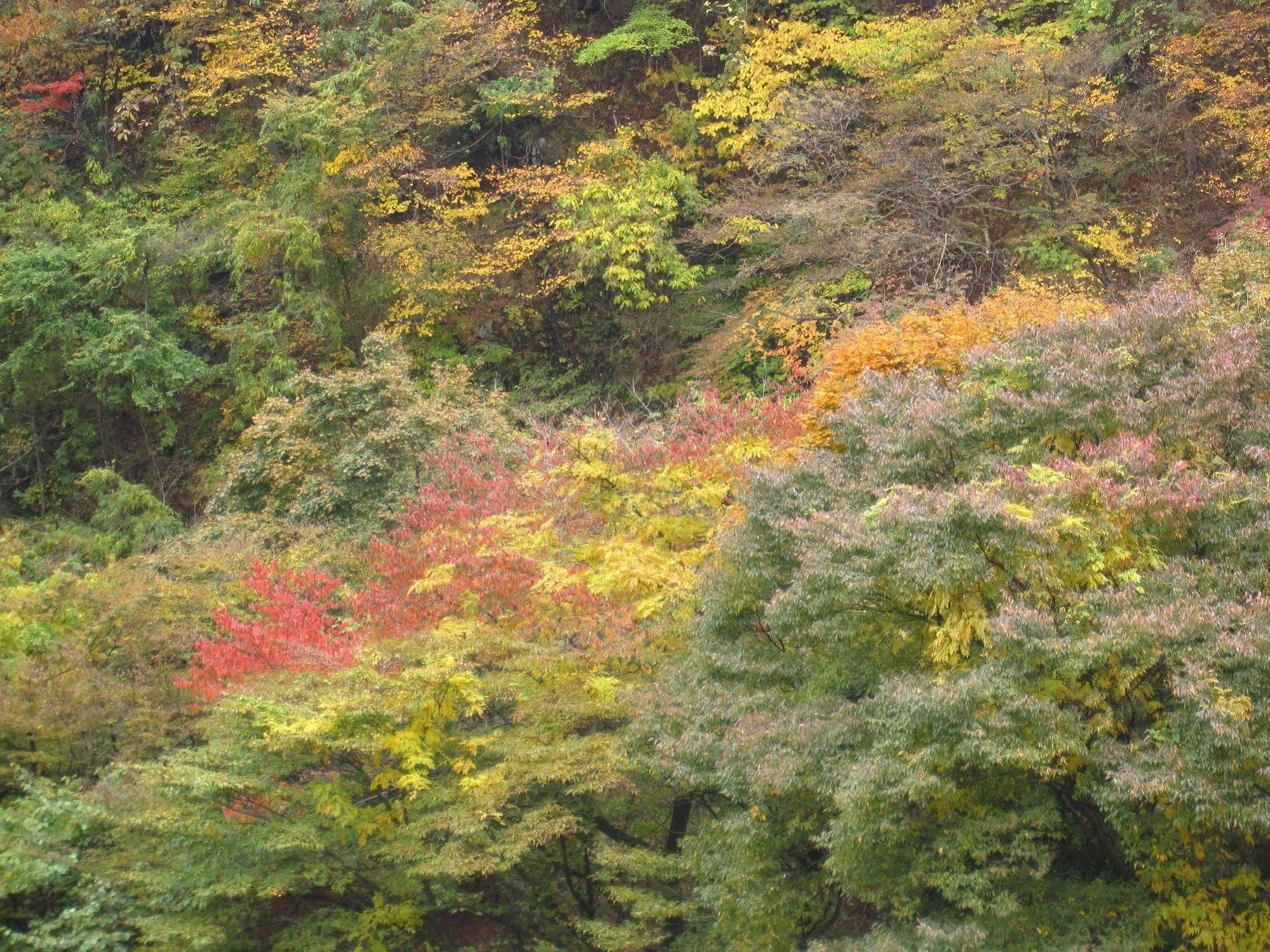 Koduchi No Yado Tsurukamedaikichi Hotel Nikko Exterior foto