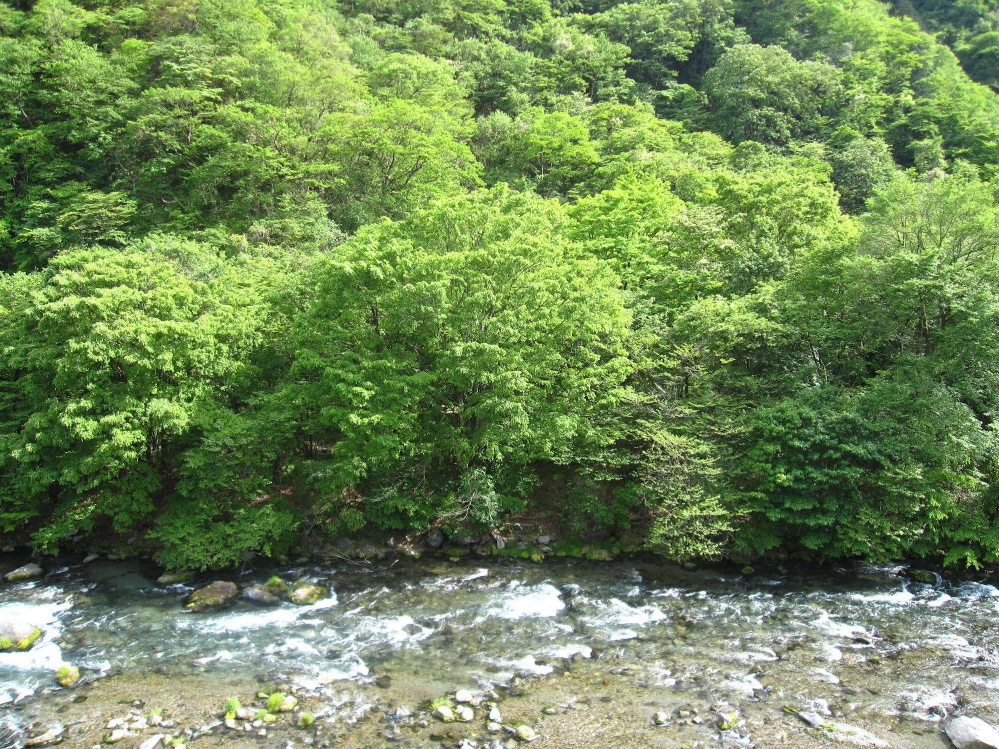 Koduchi No Yado Tsurukamedaikichi Hotel Nikko Exterior foto